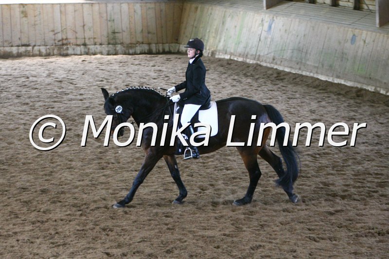 006M4333_Dressur E.JPG